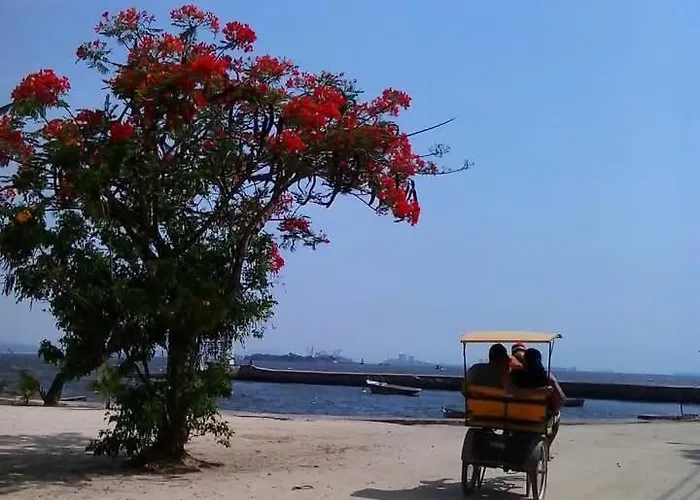 Paqueta Home Rio de Janeiro